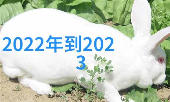 剪刀边缘商务高手背后的沉默发型秘密