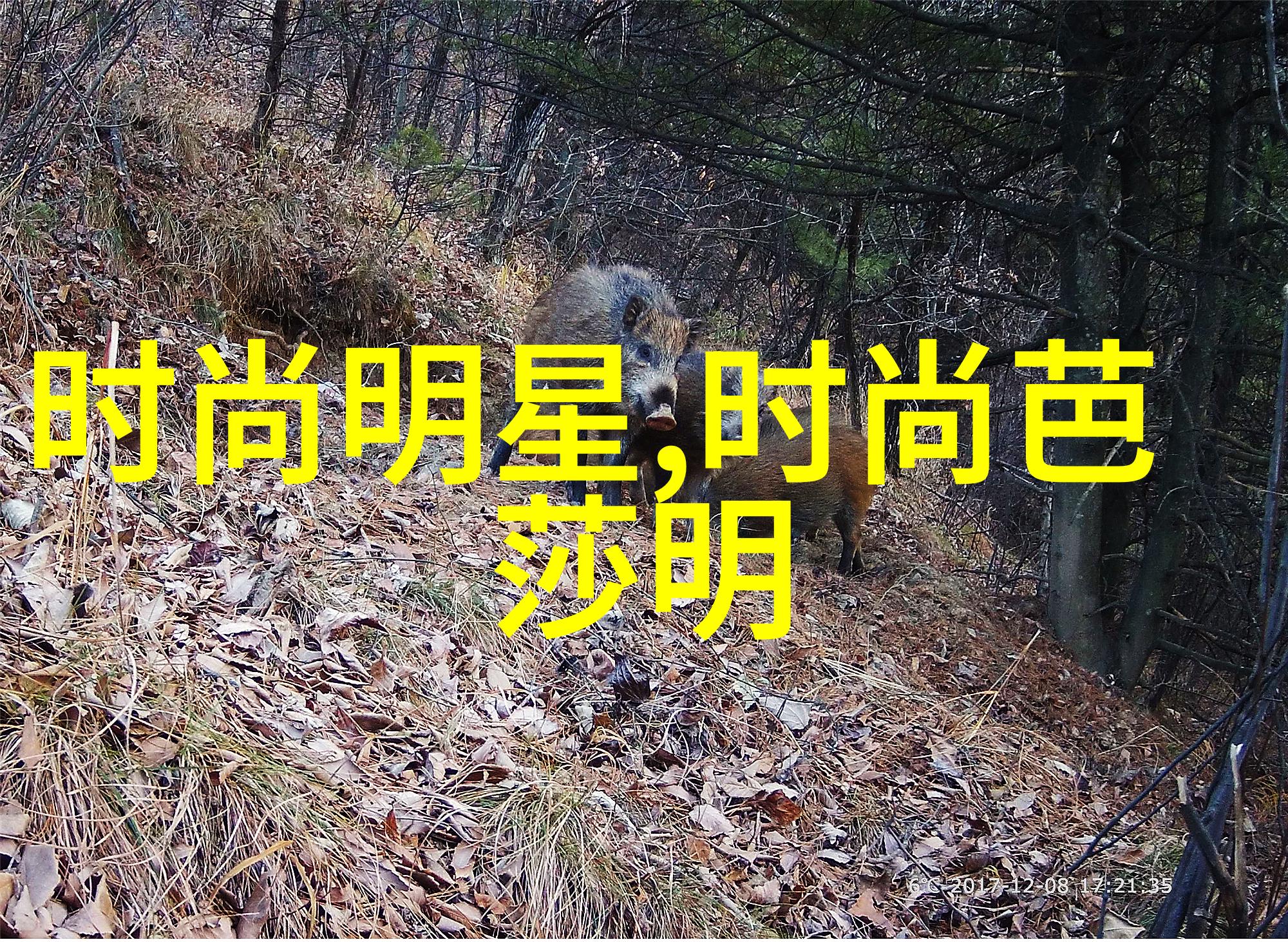 中国护士的温暖之手