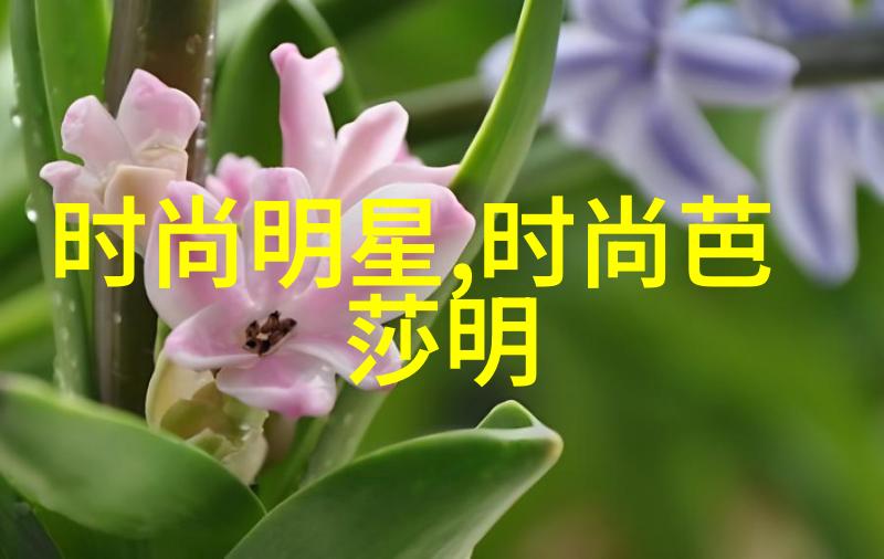 火焰解语花-燃烧的秘密火焰解语花背后的神秘故事与文化象征意义