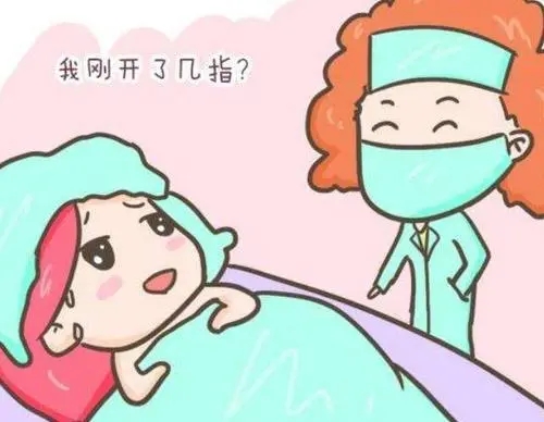 主题我这就告诉你一个超重要的秘密哦别忘了收藏这个域名它可能随时要换掉啦yw8825域名不定更换 请及