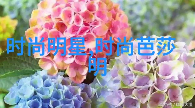 在时尚芭莎明星慈善夜上谁能预料甘露凭借我是特种兵之火凤凰将成为90后新偶像