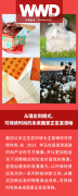 从概念到模型可持续时尚的未来图景日益清晰